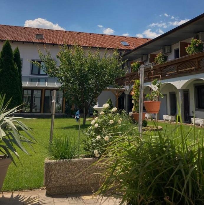 Gaestehaus Und Weinbau Zur Wiederkehr Strudler 포돌스돌프앰씨 외부 사진