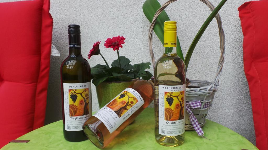 Gaestehaus Und Weinbau Zur Wiederkehr Strudler 포돌스돌프앰씨 외부 사진