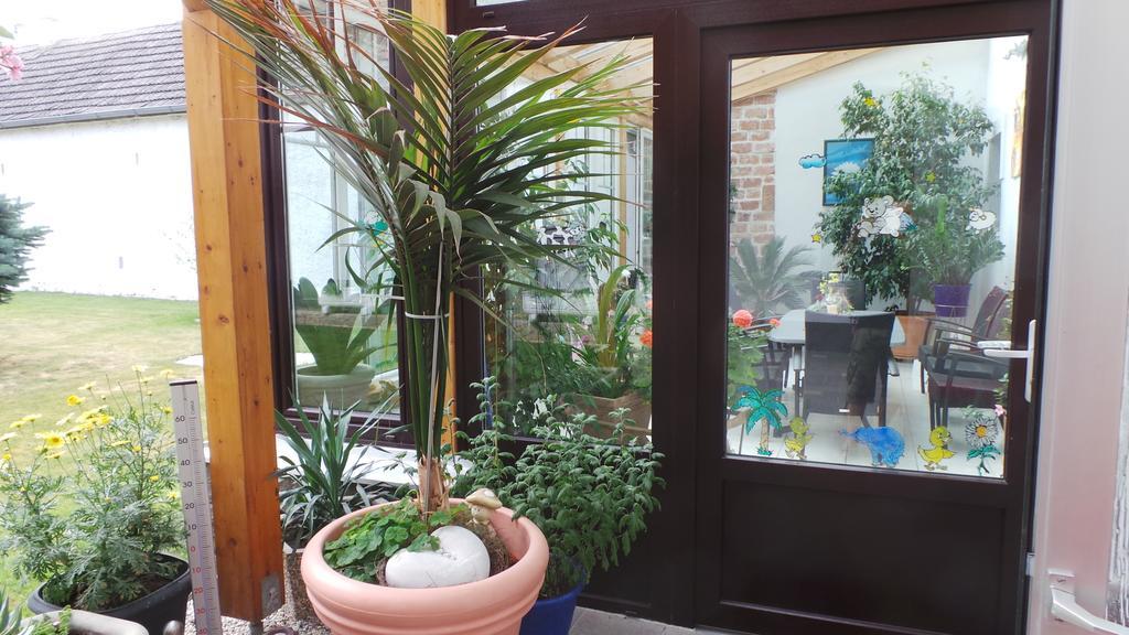 Gaestehaus Und Weinbau Zur Wiederkehr Strudler 포돌스돌프앰씨 외부 사진
